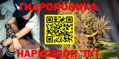сатива Можга