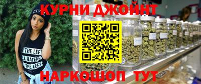 сатива Можга
