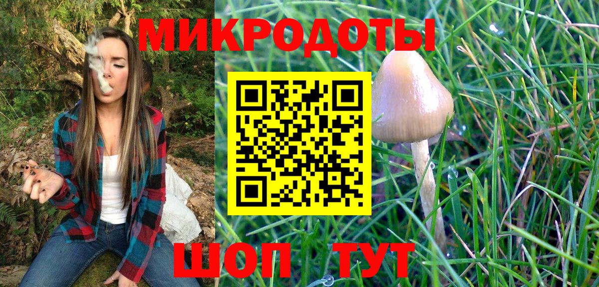 Семилуки  Псилоцибиновые грибы прущие грибы  Псилоцибиновые грибы прущие грибы  Вход с VPN 