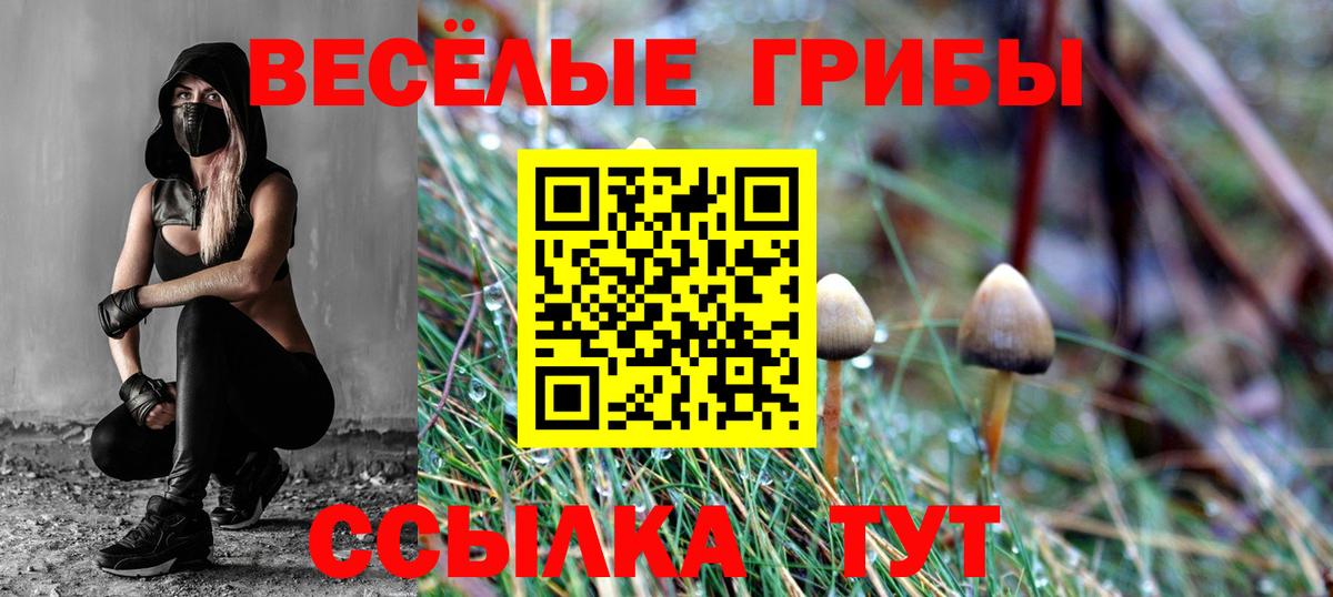 Галлюциногенные грибы Psilocybe Семилуки